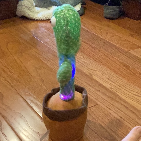 Cactus for kids. - Picture 13 of 14